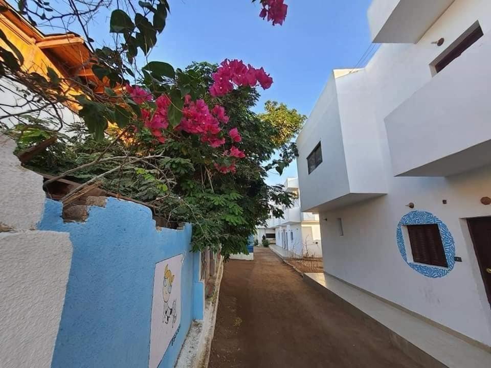 ダハブ A5Ena Houseヴィラ エクステリア 写真